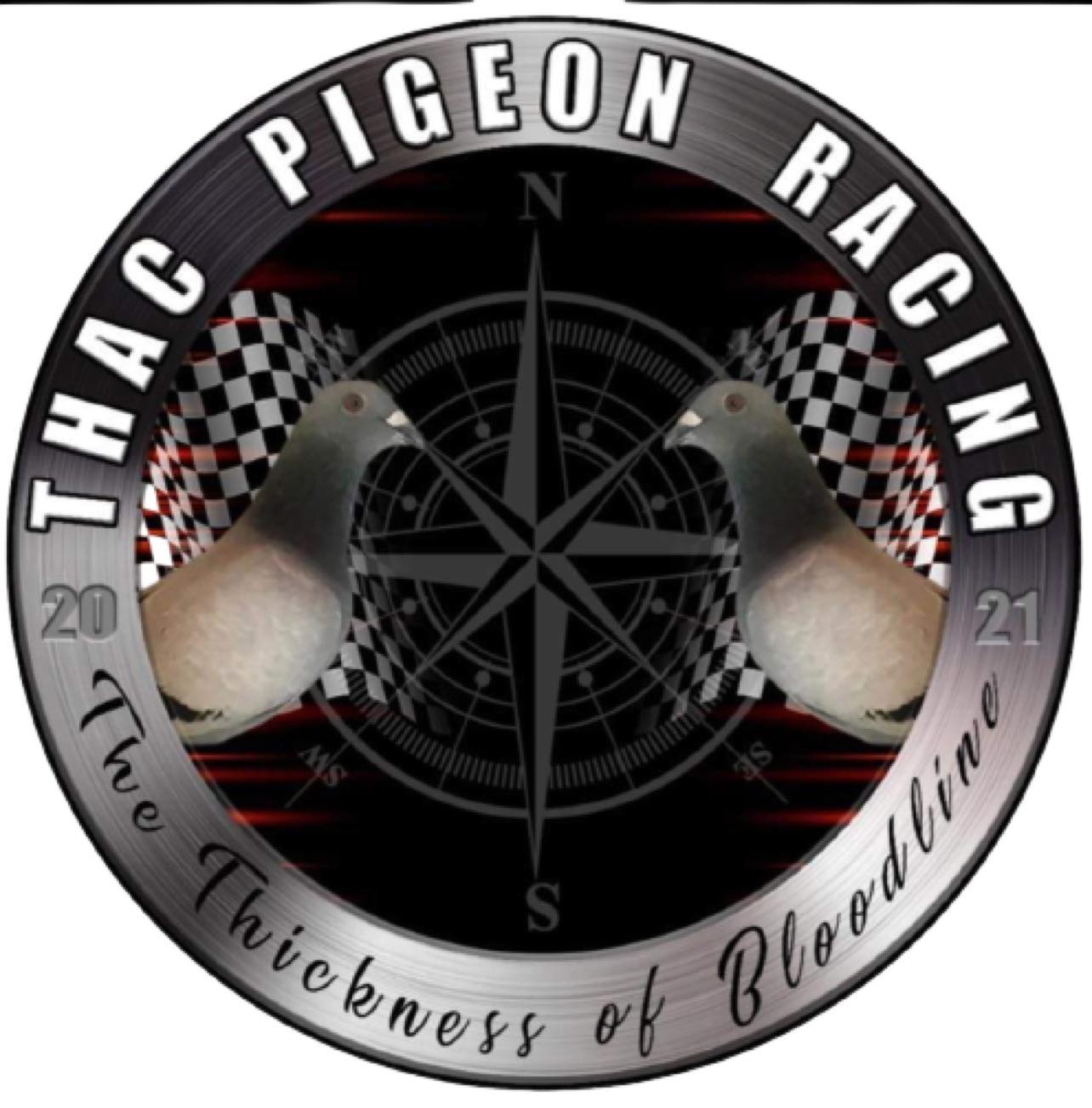 BIGGEST PIGEON CLUB IN TAIWAN visual data 8